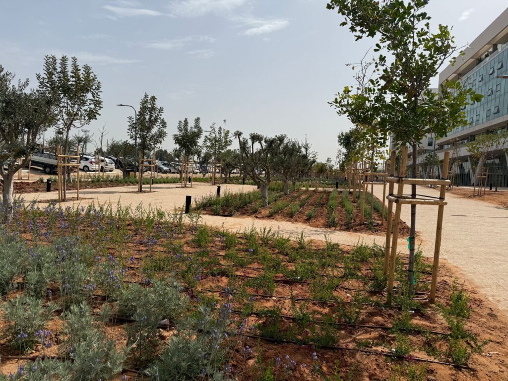 פארק סיטון, הקריה האקדמית, קרית אונו