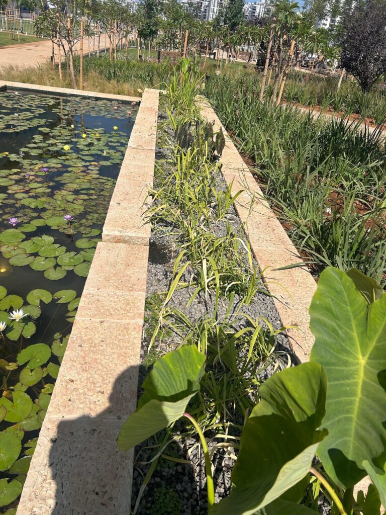 פארק סיטון, הקריה האקדמית, קרית אונו