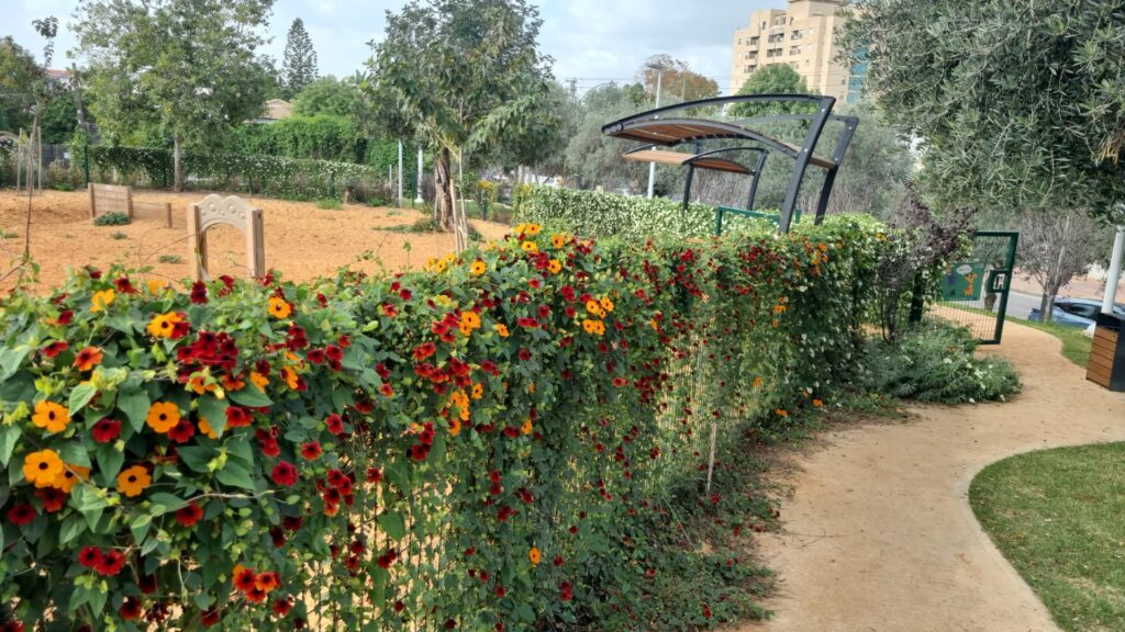 פארק אביבה ורשה, קריית אונו