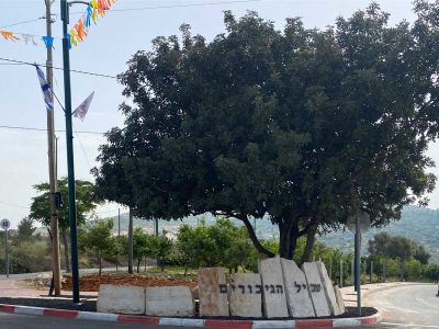 אנדרטה קרני השומרון | שי אילון אדריכלות נוף